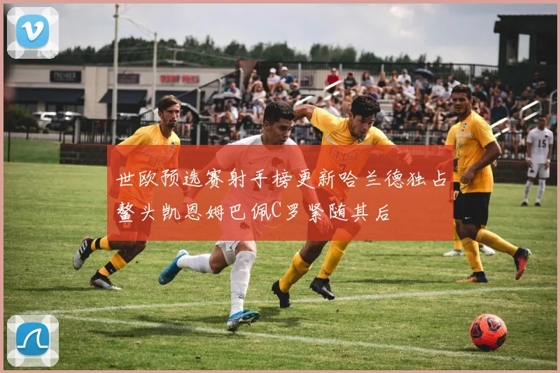 世欧预选赛射手榜更新哈兰德独占鳌头凯恩姆巴佩C罗紧随其后
