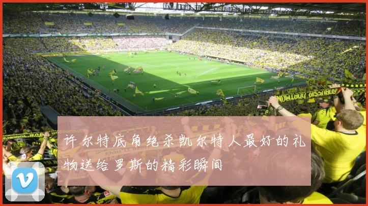 许尔特底角绝杀凯尔特人最好的礼物送给罗斯的精彩瞬间